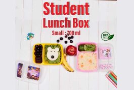 Student Lunchbox Small