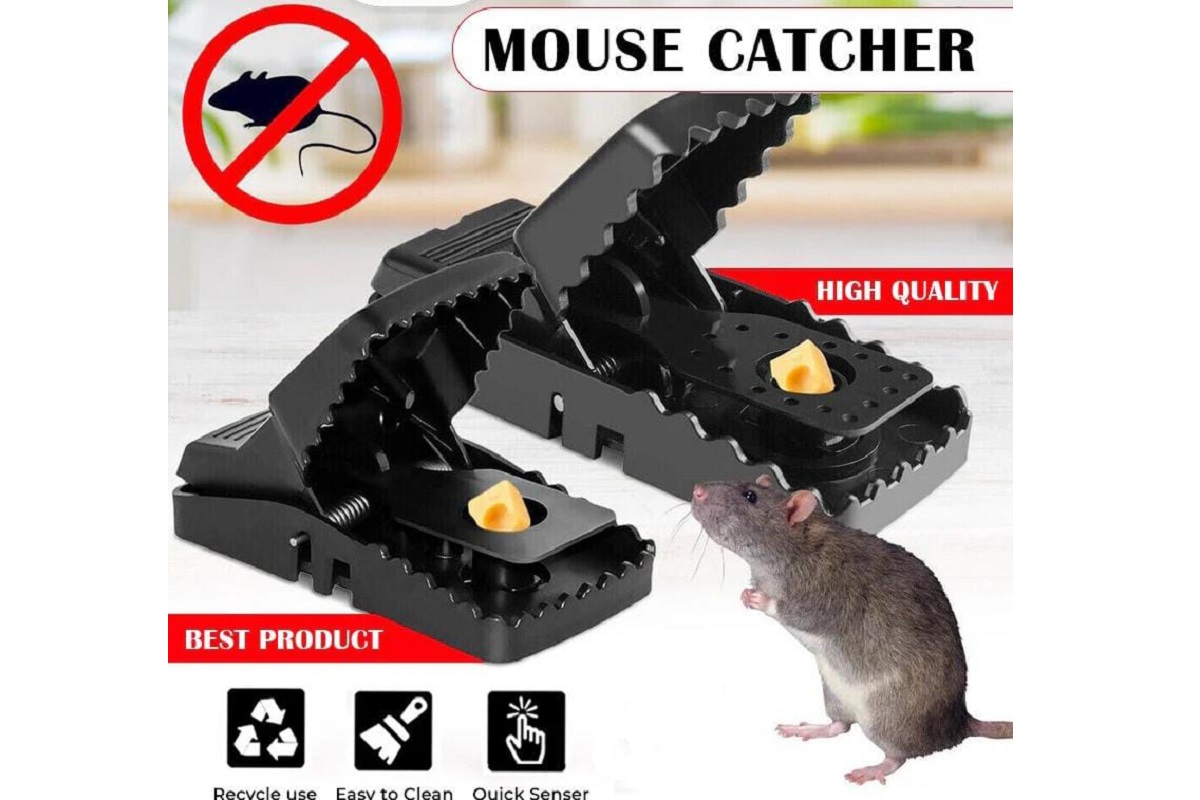 Mouse Catcher